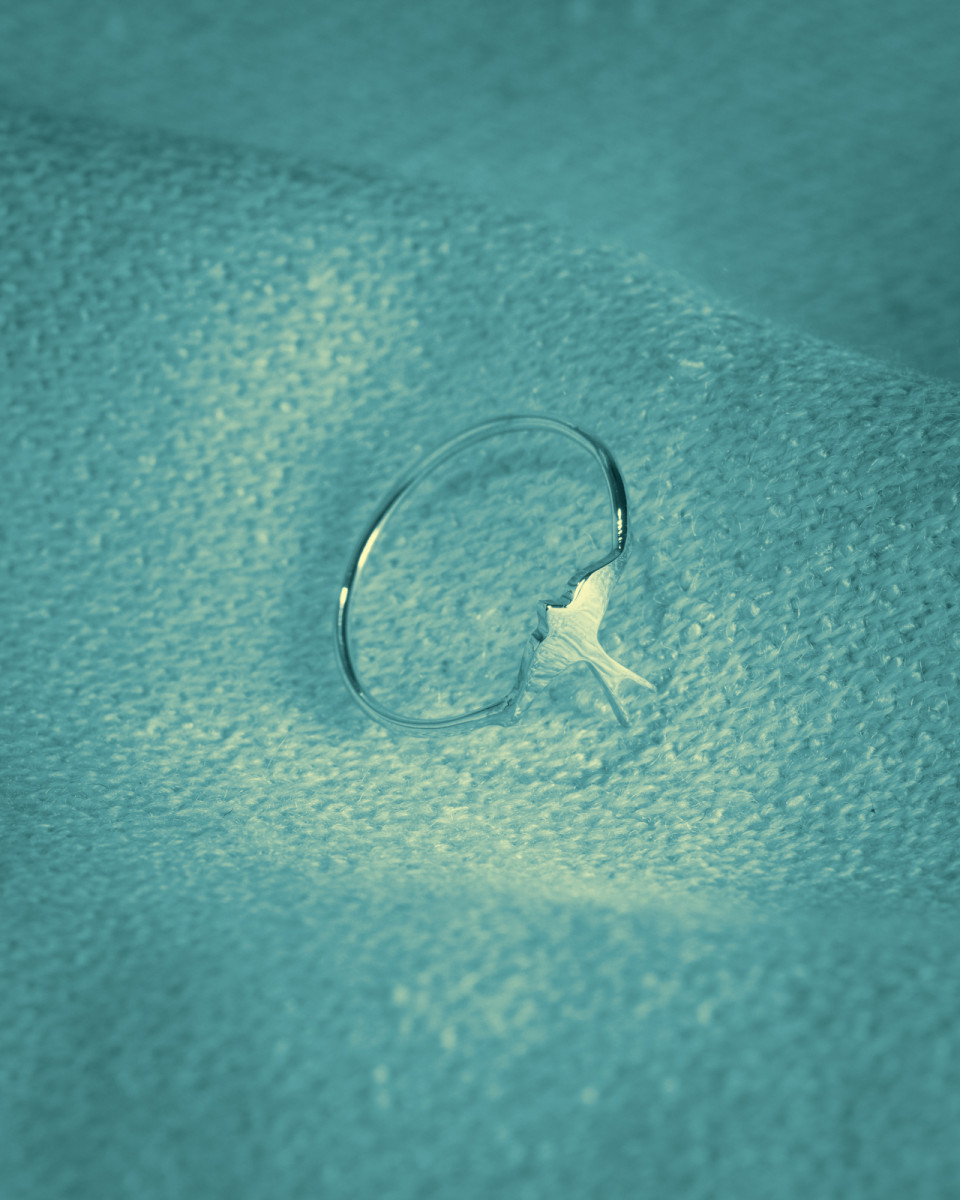 Swallow Ring
